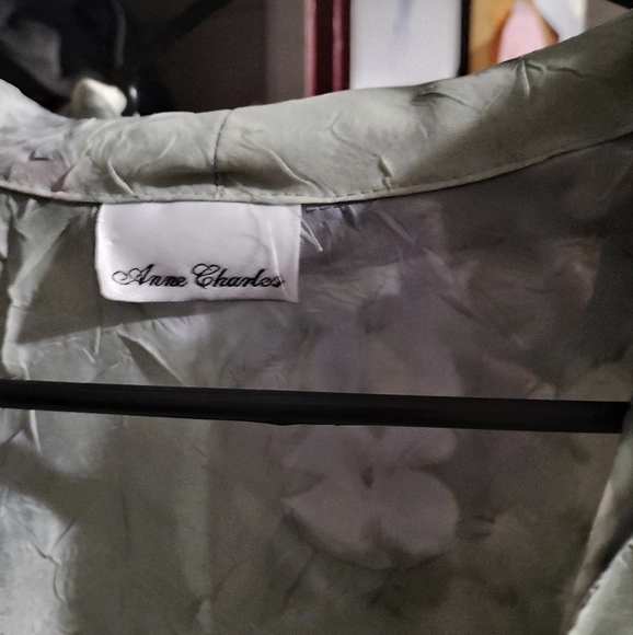 EUC Sheer shirt - Picture 2 of 4